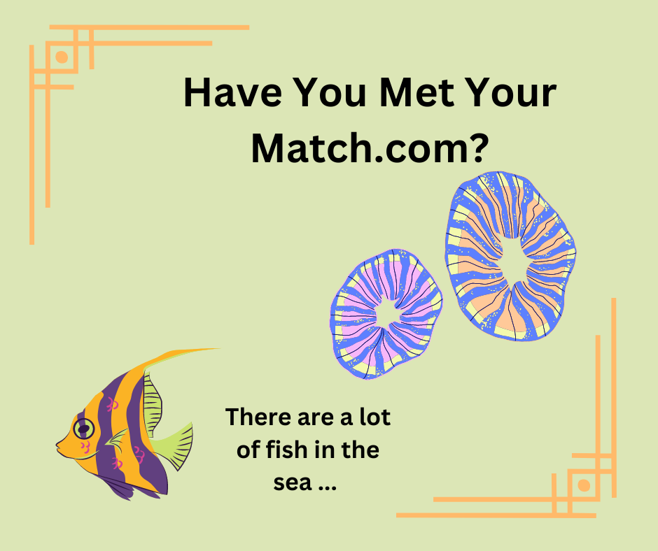 Match.com search: Have you met your Match.com?