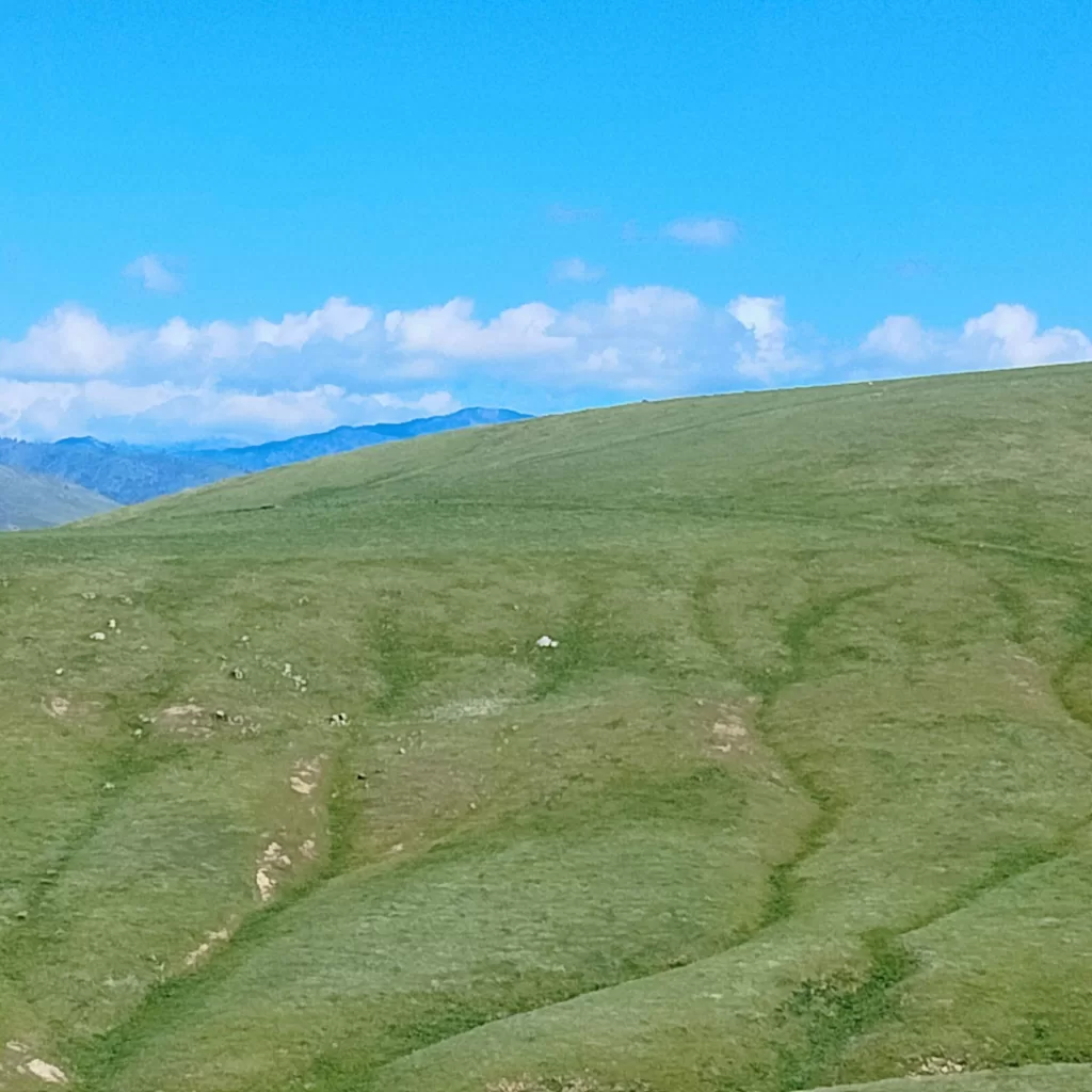 pastures of the tehachapi 1