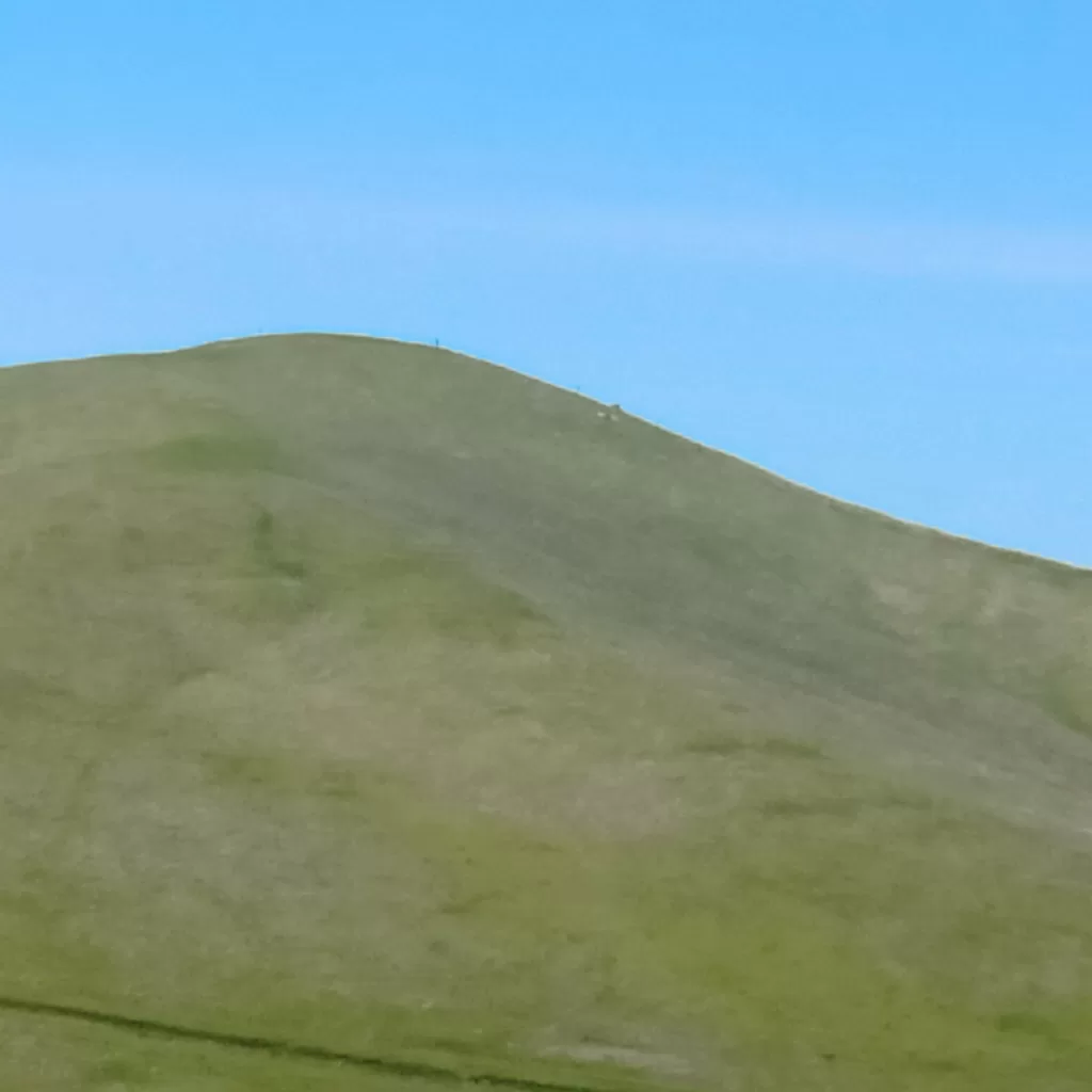 pastures of the tehachapi 2