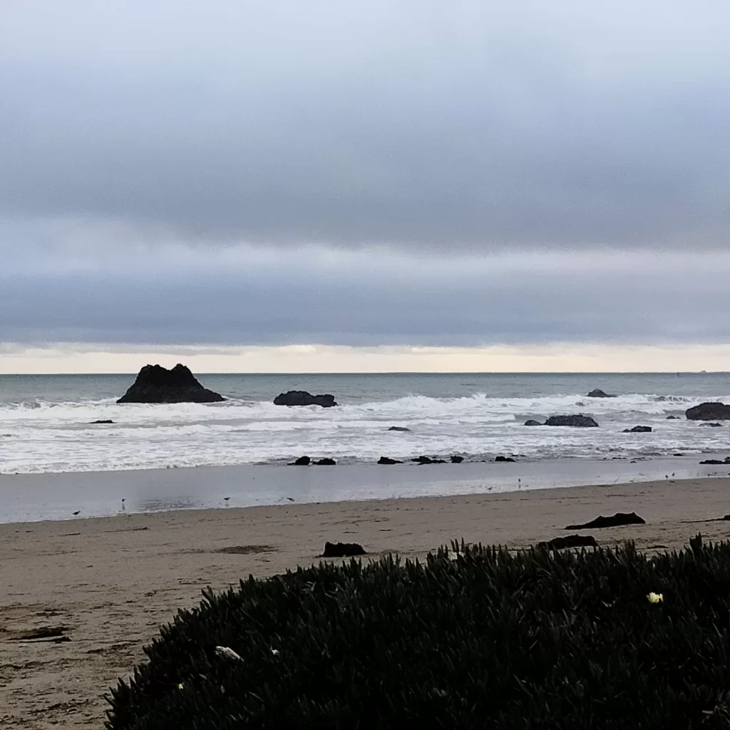 morro beach ice plant 