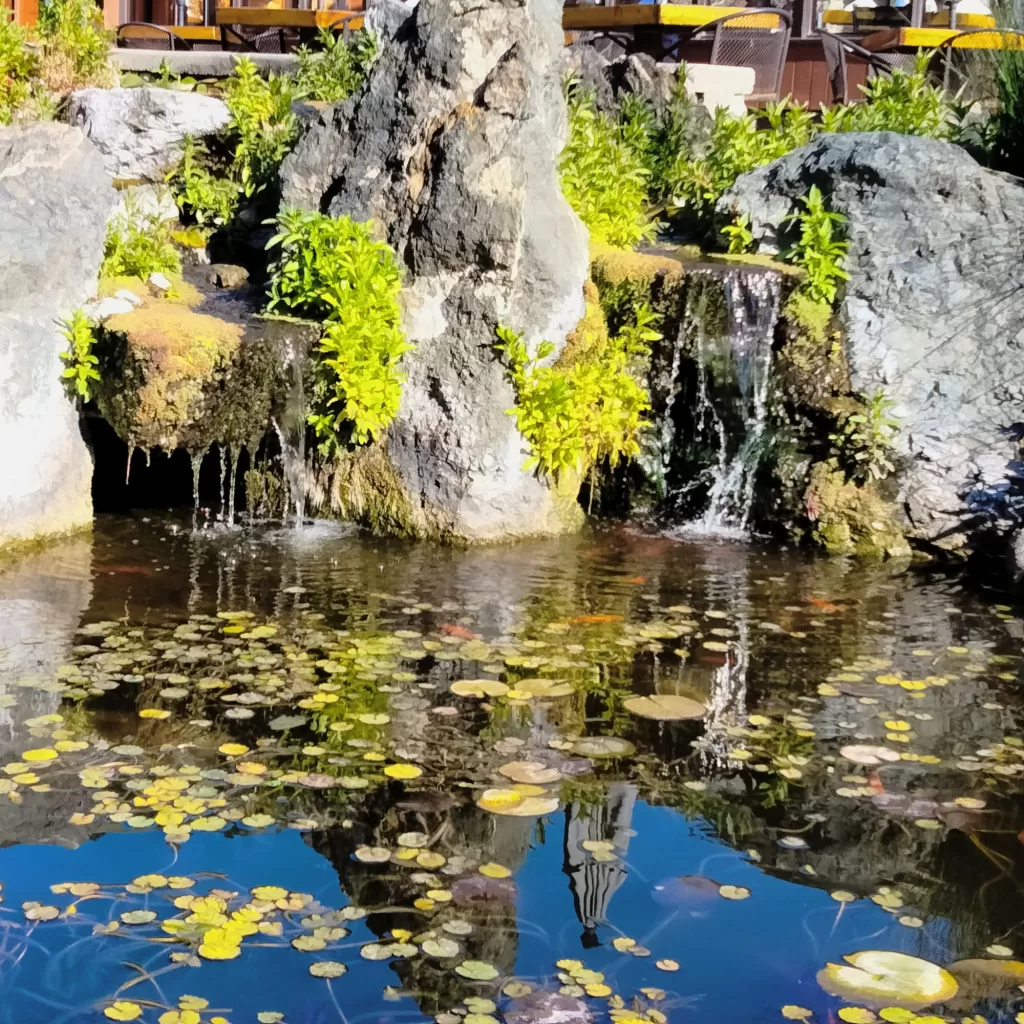 fish pond overview ragged point big sur