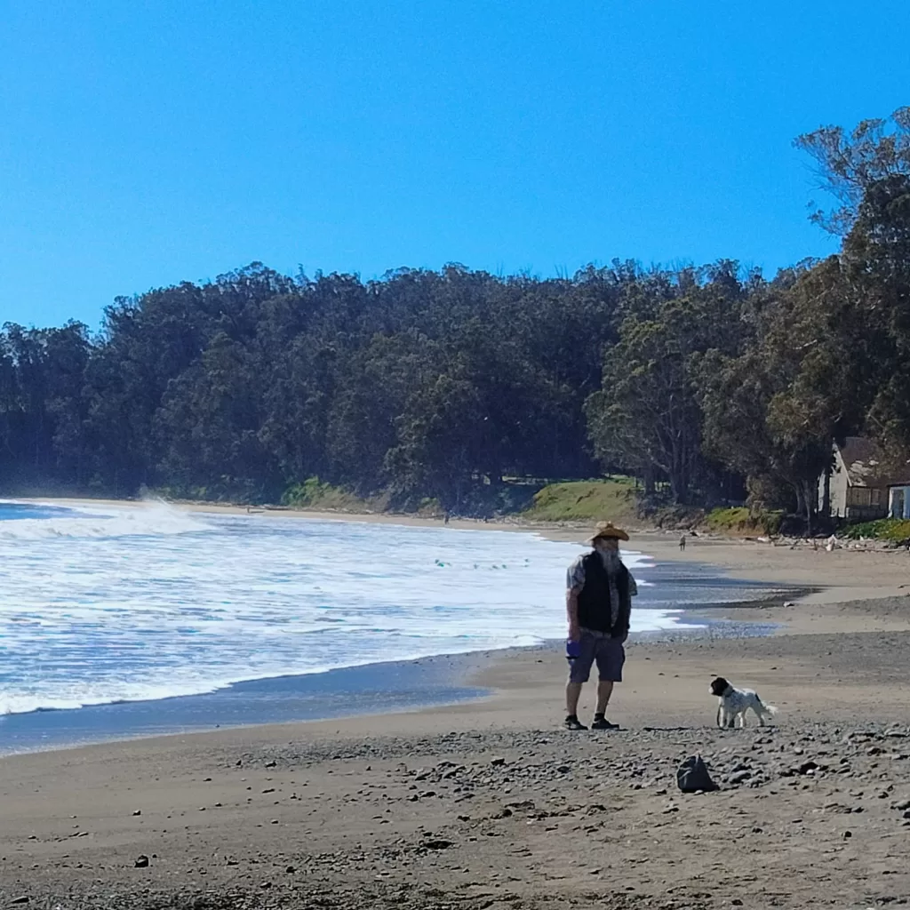 man and dog san simeon state beach